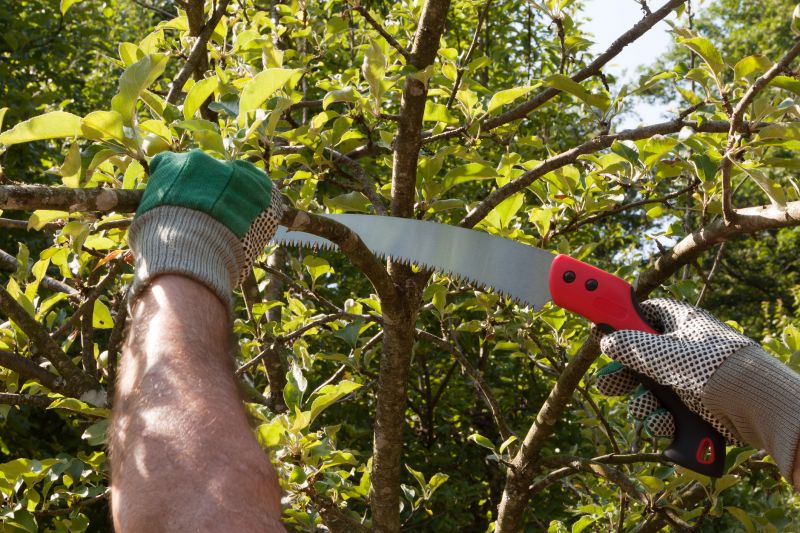 Pruning Techniques