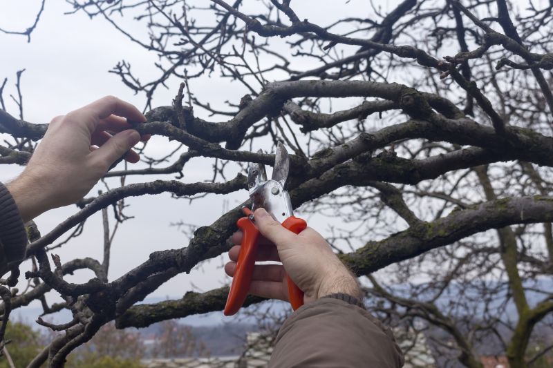 Seasonal Pruning Schedule