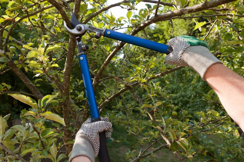 Tree Pruning Equipment