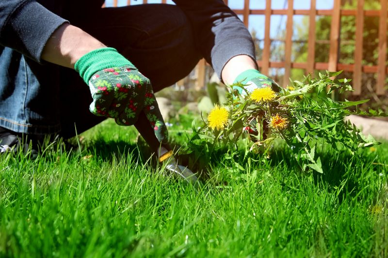 Aiken, SC